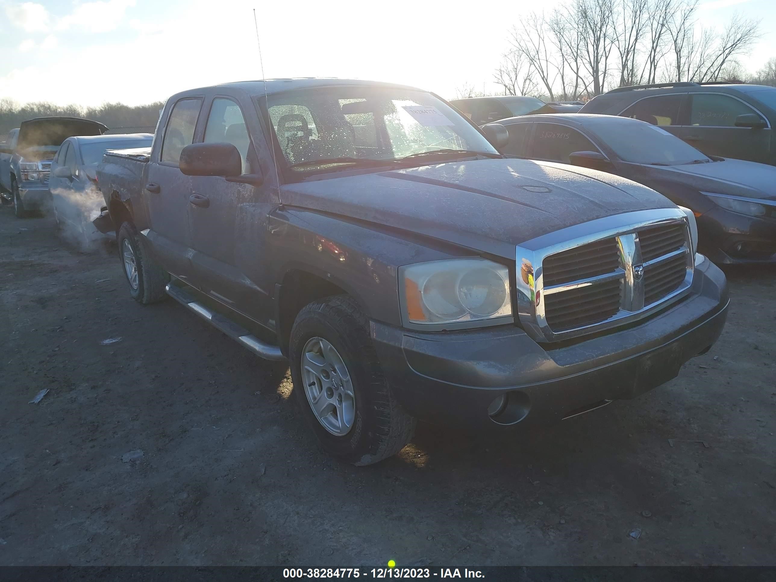 DODGE DAKOTA 2006 1d7hw48n86s520006