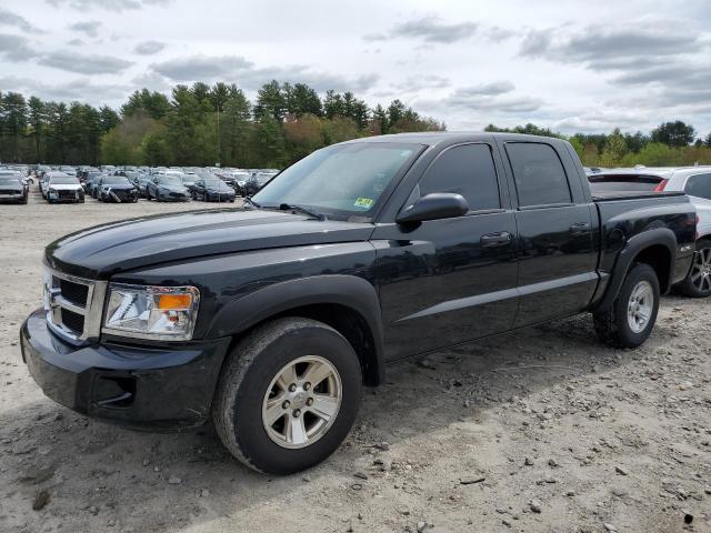 DODGE DAKOTA 2008 1d7hw48n88s608007