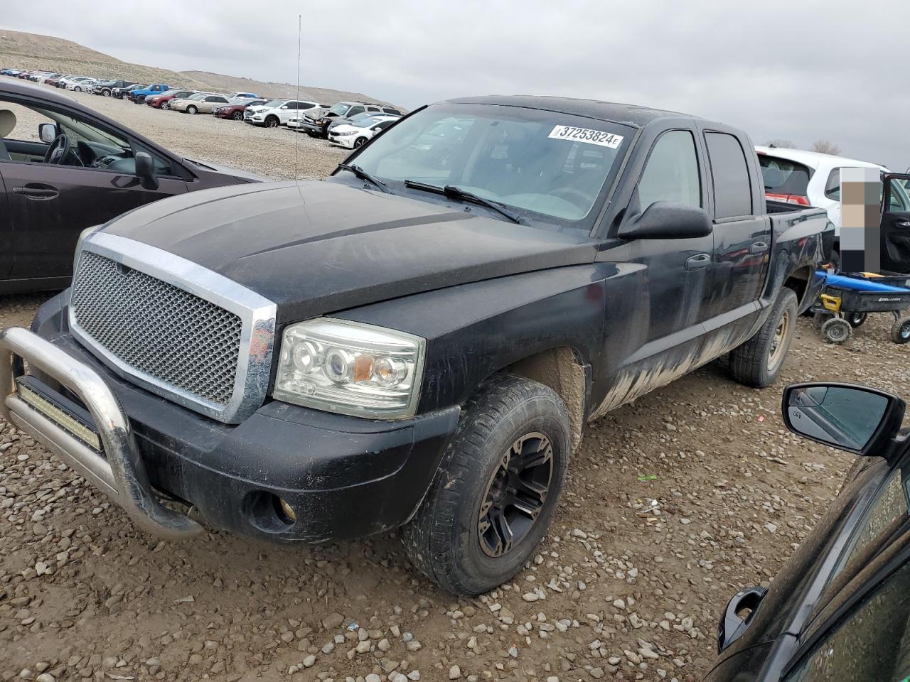 DODGE DAKOTA 2005 1d7hw48n95s331198