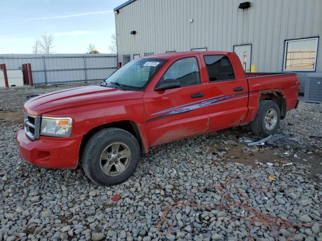 DODGE DAKOTA 2008 1d7hw48nx8s567928