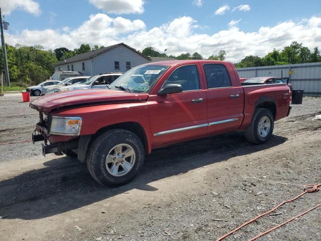 DODGE DAKOTA 2008 1d7hw58n48s613906