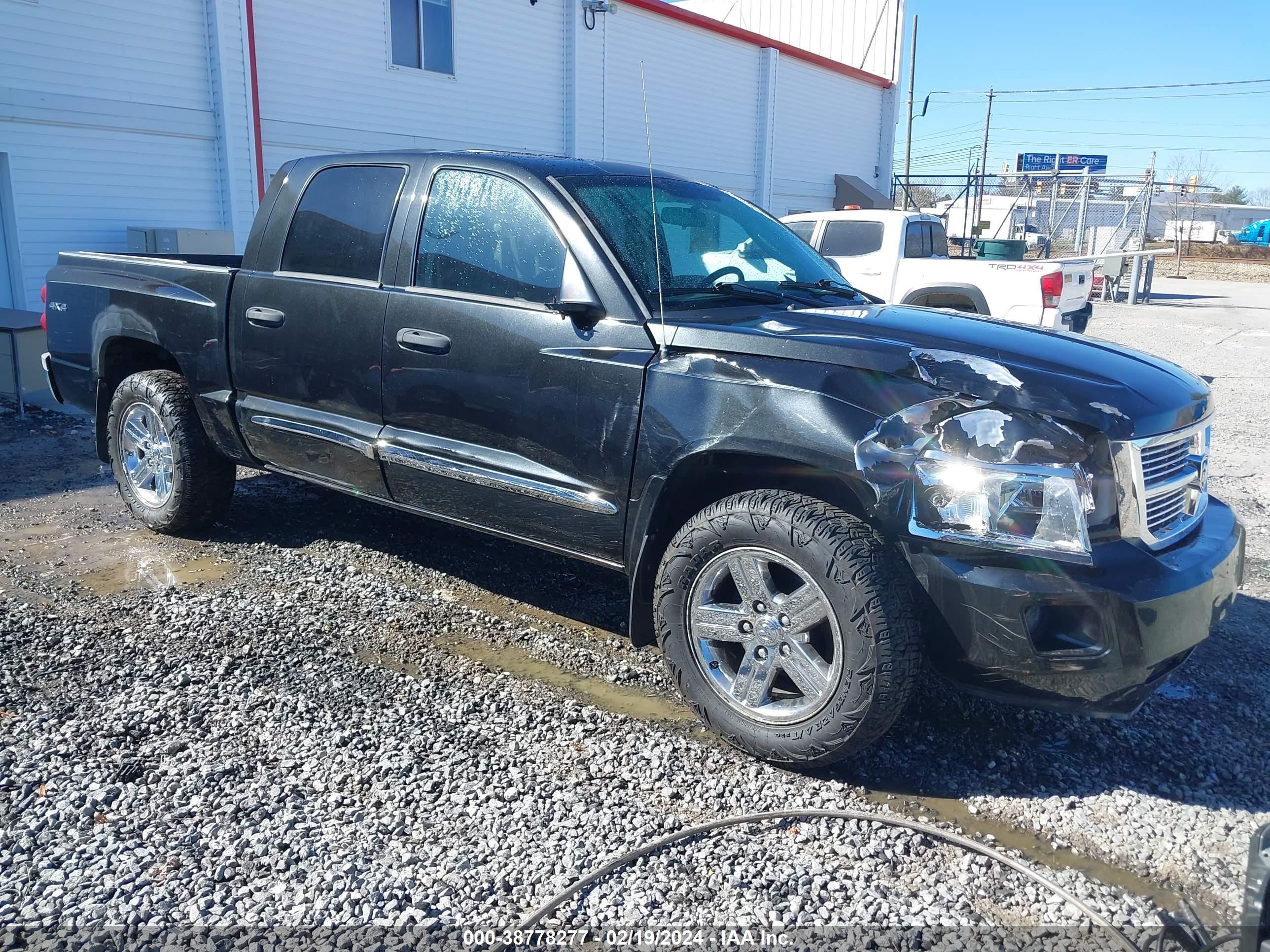 DODGE DAKOTA 2008 1d7hw58n58f602896