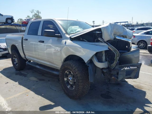 DODGE RAM 1500 2010 1d7rb1cp0as189180