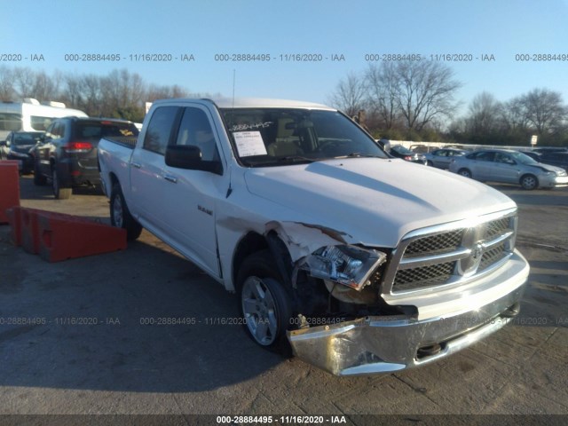 DODGE RAM 1500 2010 1d7rb1cp1as209405