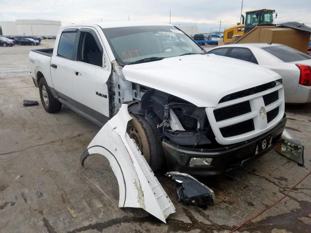 DODGE RAM 1500 2010 1d7rb1cp1as249032