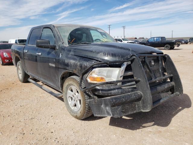 DODGE RAM 1500 2010 1d7rb1cp3as132584