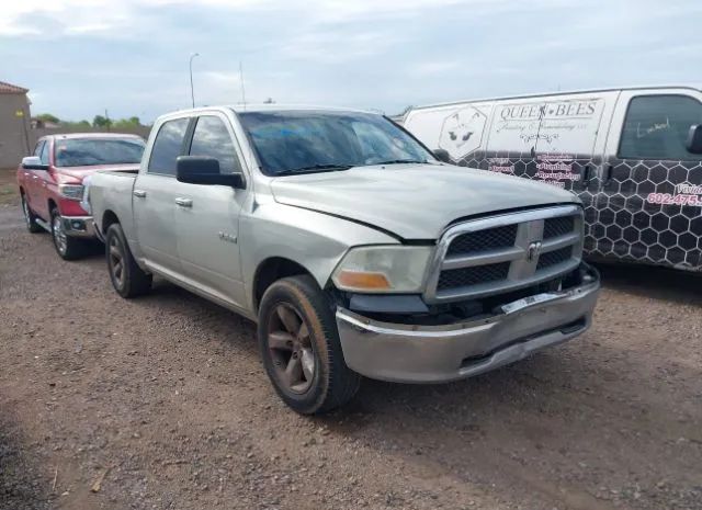 DODGE RAM 1500 2010 1d7rb1cp3as184992