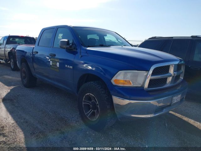 DODGE RAM 1500 2010 1d7rb1cp3as209616