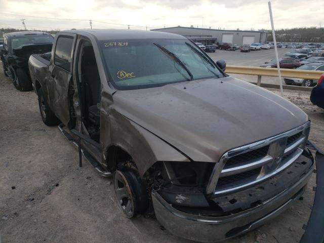 DODGE RAM 1500 2010 1d7rb1cp3as237304