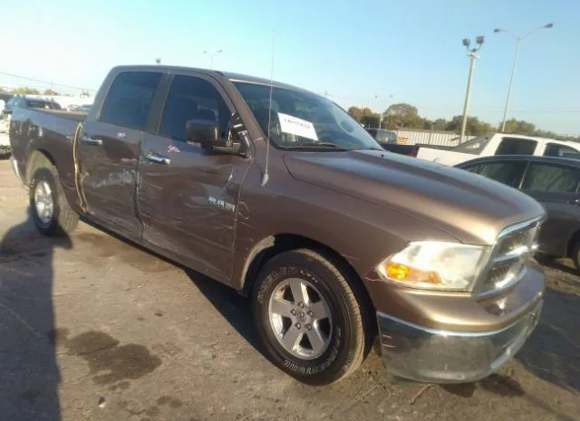 DODGE RAM 1500 2010 1d7rb1cp4as182085