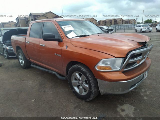 DODGE RAM 1500 2010 1d7rb1cp4as193457