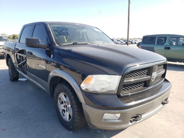 DODGE RAM 1500 2010 1d7rb1cp5as250393