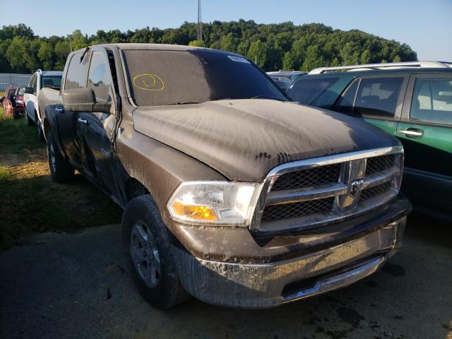 DODGE RAM 1500 2010 1d7rb1cp6as214664