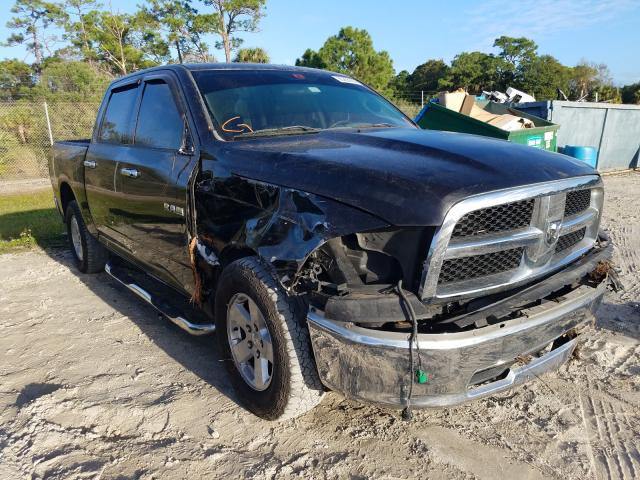 DODGE RAM 1500 2010 1d7rb1cp6as231254