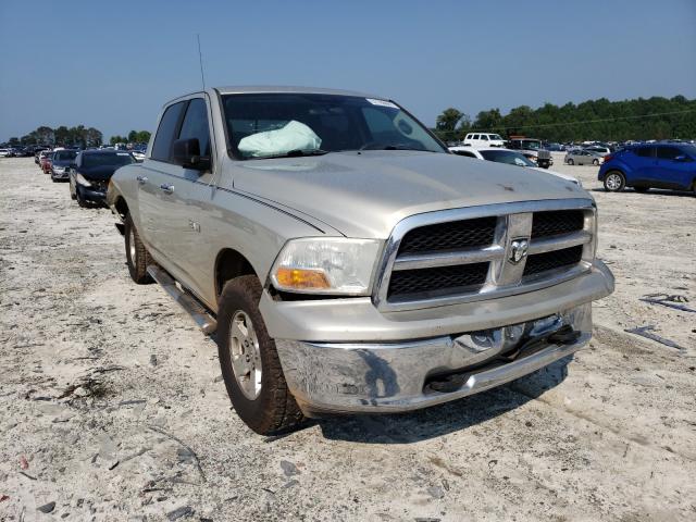 DODGE RAM 1500 2010 1d7rb1cp7as194716