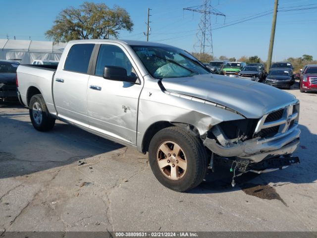 DODGE RAM 1500 2010 1d7rb1cp8as231255