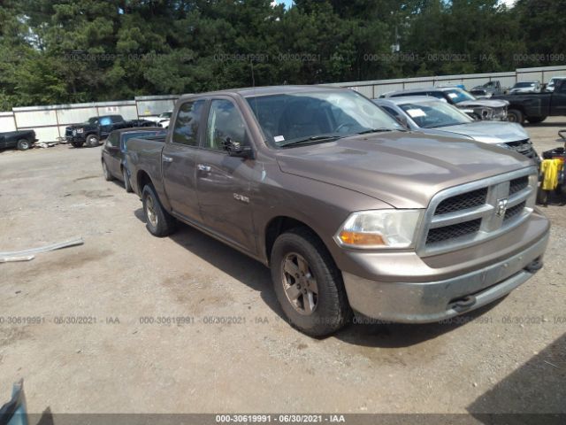 DODGE RAM 1500 2010 1d7rb1cpxas209404