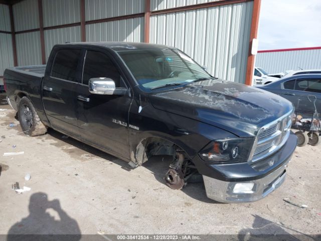 DODGE RAM 1500 2010 1d7rb1ct0as119336