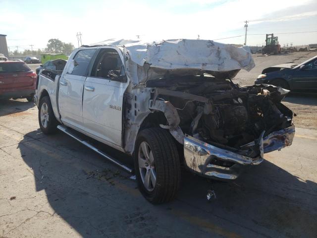 DODGE RAM 1500 2010 1d7rb1ct0as181237