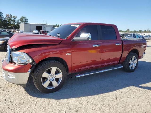 DODGE RAM 1500 2010 1d7rb1ct0as190102