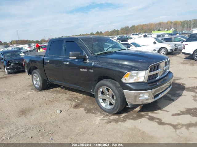 DODGE RAM 1500 2010 1d7rb1ct0as195574