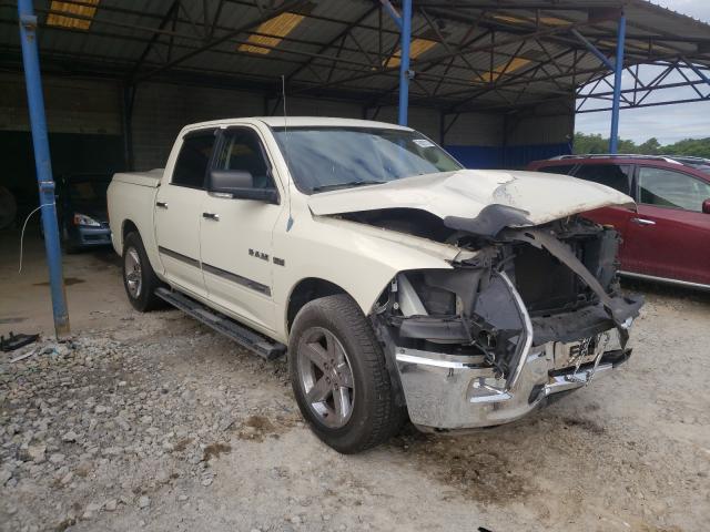 DODGE RAM 1500 2010 1d7rb1ct0as226435