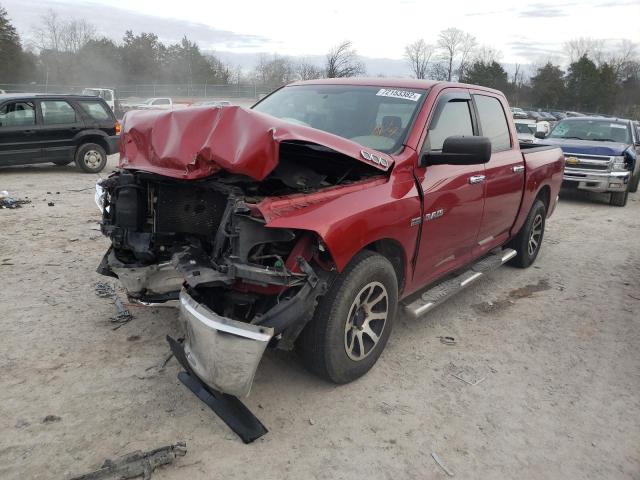 DODGE RAM 1500 2010 1d7rb1ct0as245034