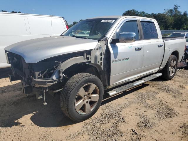 DODGE RAM 1500 2011 1d7rb1ct0bs550194