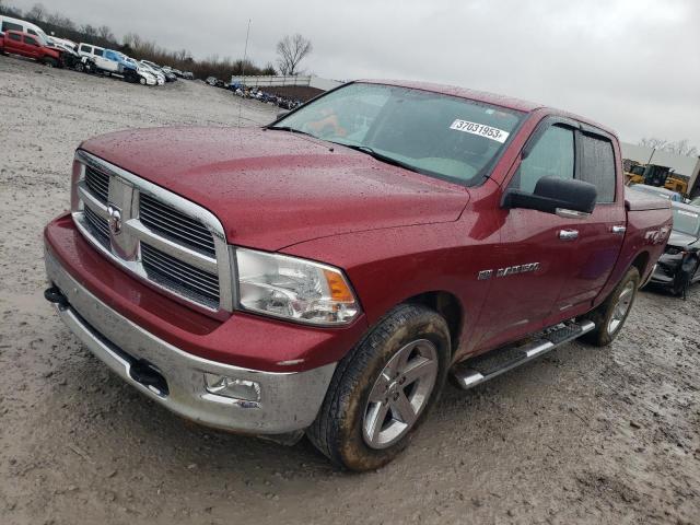 DODGE RAM 1500 2011 1d7rb1ct0bs597127