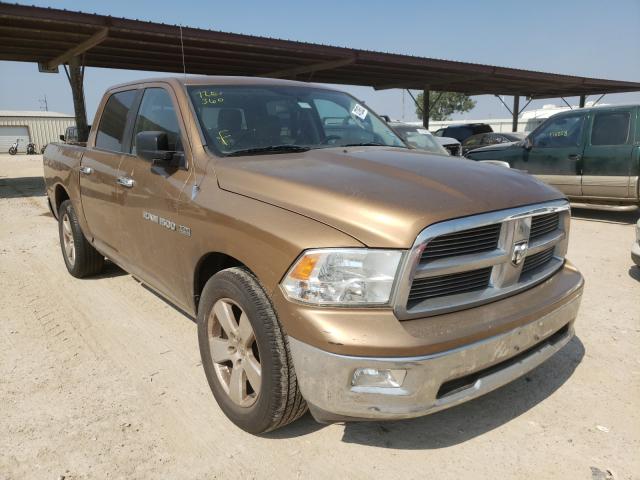 DODGE RAM 1500 2011 1d7rb1ct0bs654930