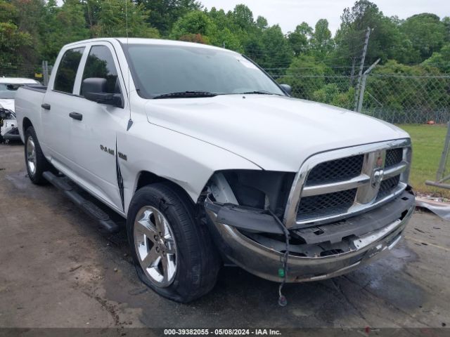 DODGE RAM 1500 2010 1d7rb1ct1as109415