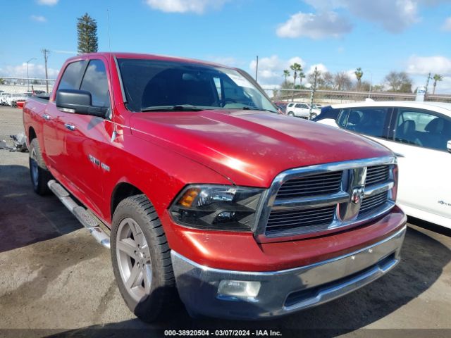 DODGE RAM 1500 2010 1d7rb1ct1as119376