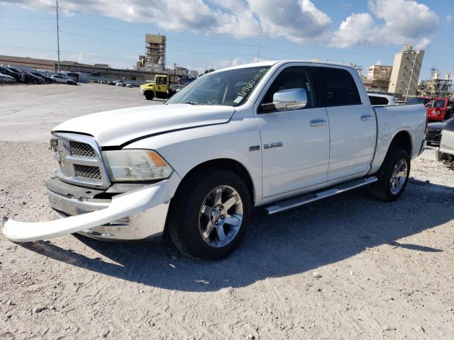 DODGE RAM 1500 2010 1d7rb1ct1as122424