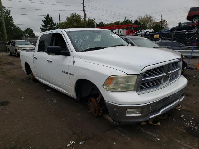 DODGE RAM 1500 2010 1d7rb1ct1as139143