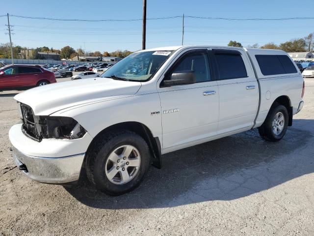 DODGE RAM 1500 2010 1d7rb1ct1as159263