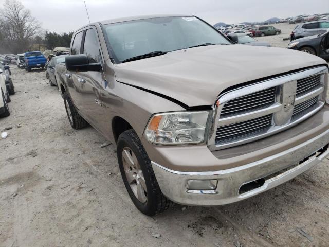 DODGE RAM 1500 2010 1d7rb1ct1as181893