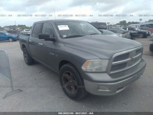 DODGE RAM 1500 2010 1d7rb1ct1as213726