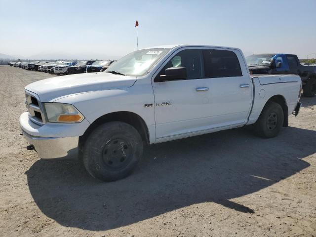 DODGE RAM 1500 2010 1d7rb1ct1as213905