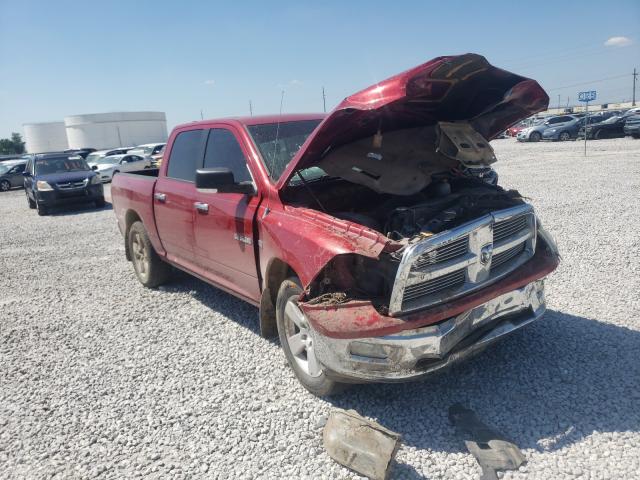 DODGE RAM 1500 2010 1d7rb1ct1as238643