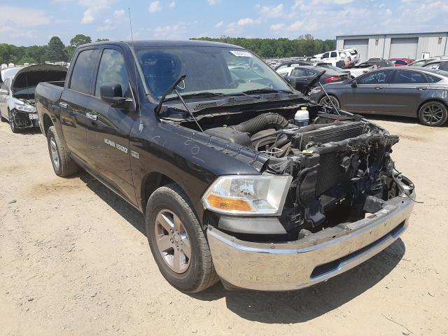 DODGE RAM 1500 2011 1d7rb1ct1bs586900