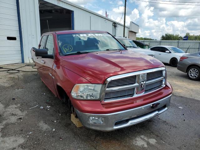 DODGE RAM 1500 2010 1d7rb1ct2as107706