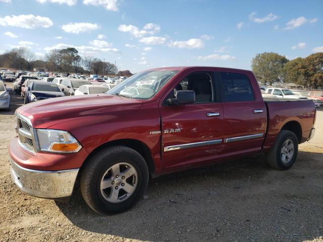 DODGE ALL MODELS 2010 1d7rb1ct2as112341