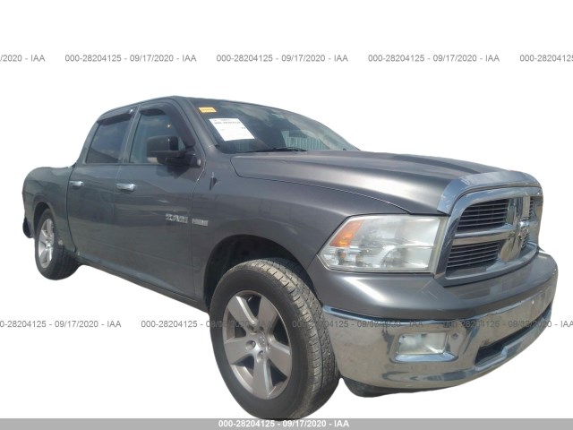 DODGE RAM 1500 2010 1d7rb1ct2as117135