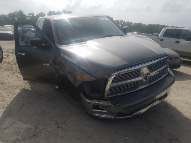 DODGE RAM 1500 2010 1d7rb1ct2as118222