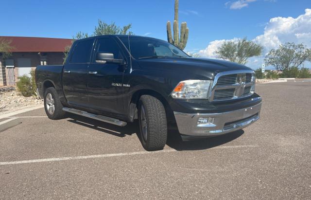 DODGE RAM 1500 2010 1d7rb1ct2as138891