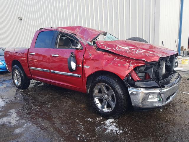 DODGE RAM 1500 2010 1d7rb1ct2as160194