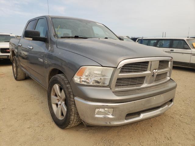 DODGE RAM 1500 2010 1d7rb1ct2as182048