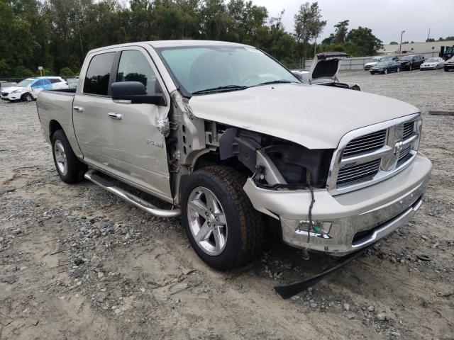 DODGE RAM 1500 2010 1d7rb1ct2as194748