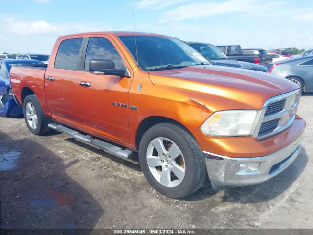 DODGE RAM 2010 1d7rb1ct2as206428