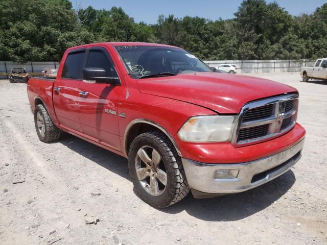 DODGE RAM 1500 2010 1d7rb1ct2as209183